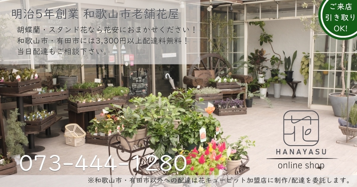 明治5年創業の老舗花屋 花安 | 和歌山市・有田市 胡蝶蘭・スタンド花 | 3,300円以上で配達無料 | 当日配達・ご来店引き取りOK | 電話: 073-444-1280